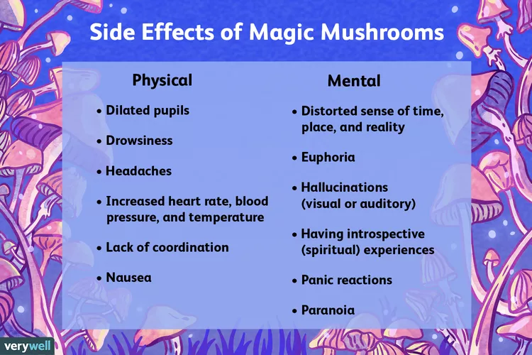 What to Know About Magic shroom Use